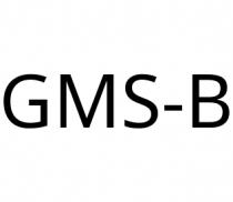 GMS-B
