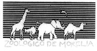 ZOOLOGICO DE MORELIA