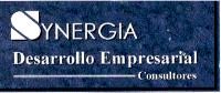 SYNERGIA DESARROLLO EMPRESARIAL
