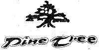 PINE TREE