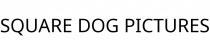 SQUARE DOG PICTURES