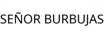 SEÑOR BURBUJAS