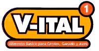 1 V-ITAL