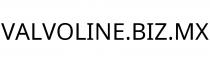 VALVOLINE.BIZ.MX