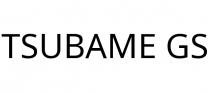 TSUBAME GS