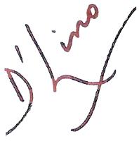 D'LINO