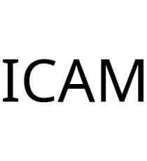 ICAM