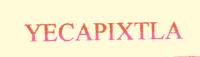 YECAPIXTLA
