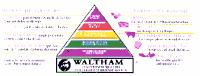 PIRAMIDE NUTRICIONAL WALTHAM; WALTHAM; LA AUTORIDAD MUNDIAL LIDER EN EL CUIDADO Y NUTRICION DE MASCOTAS
