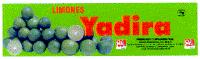 LIMONES YADIRA