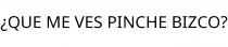 ¿QUE ME VES PINCHE BIZCO?