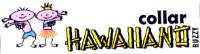 COLLAR HAWAIIANO BUZZY