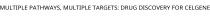 MULTIPLE PATHWAYS; MULTIPLE TARGETS; DRUG DISCOVERY FOR CELGENE