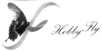F HOBBY FLY