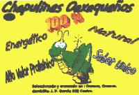 CHAPULINES OAXAQUEÑOS