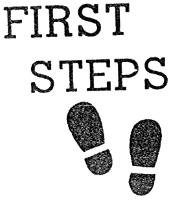 FIRST STEPS