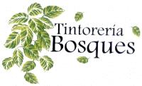 TINTORERIA BOSQUES