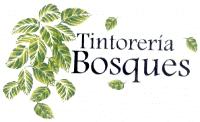 TINTORERIA BOSQUES