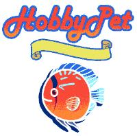 HOBBY PET