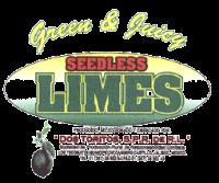 GREEN & JUICY SEEDLESS LIMES
