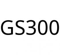 GS300