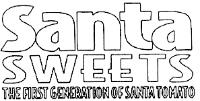 SANTA SWEETS THE FIRST GENERATION OF SANTA TOMATO