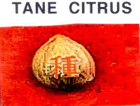 TANE CITRUS