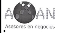 AXAN ASESORES EN NEGOCIOS