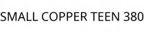 SMALL COPPER TEEN 380
