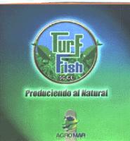 TURF FISH