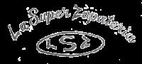 LSZ LA SUPER ZAPATERIA
