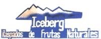 ICEBERG