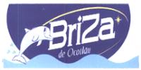 BRIZA DE OCOTLAN