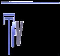 TFV