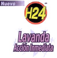 H24