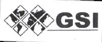 GSI