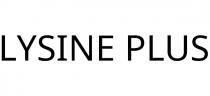 LYSINE PLUS