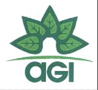 AGI