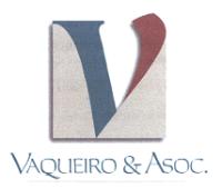 V VAQUEIRO & ASOC