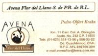 FLOR DEL LLANO