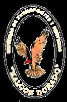 HALCON DORADO