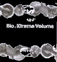 AFEL BIOP XTREME VOLUME