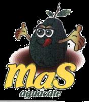 MAS AGUACATE