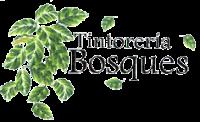 TINTORERIA BOSQUES