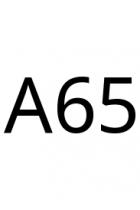 A65