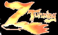 Z TUNNING