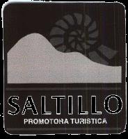 SALTILLO PROMOTORA TURISTICA