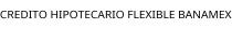 CREDITO HIPOTECARIO FLEXIBLE BANAMEX