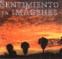 SENTIMIENTO EN IMÁGENES