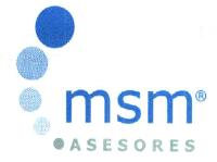 MSM ASESORES